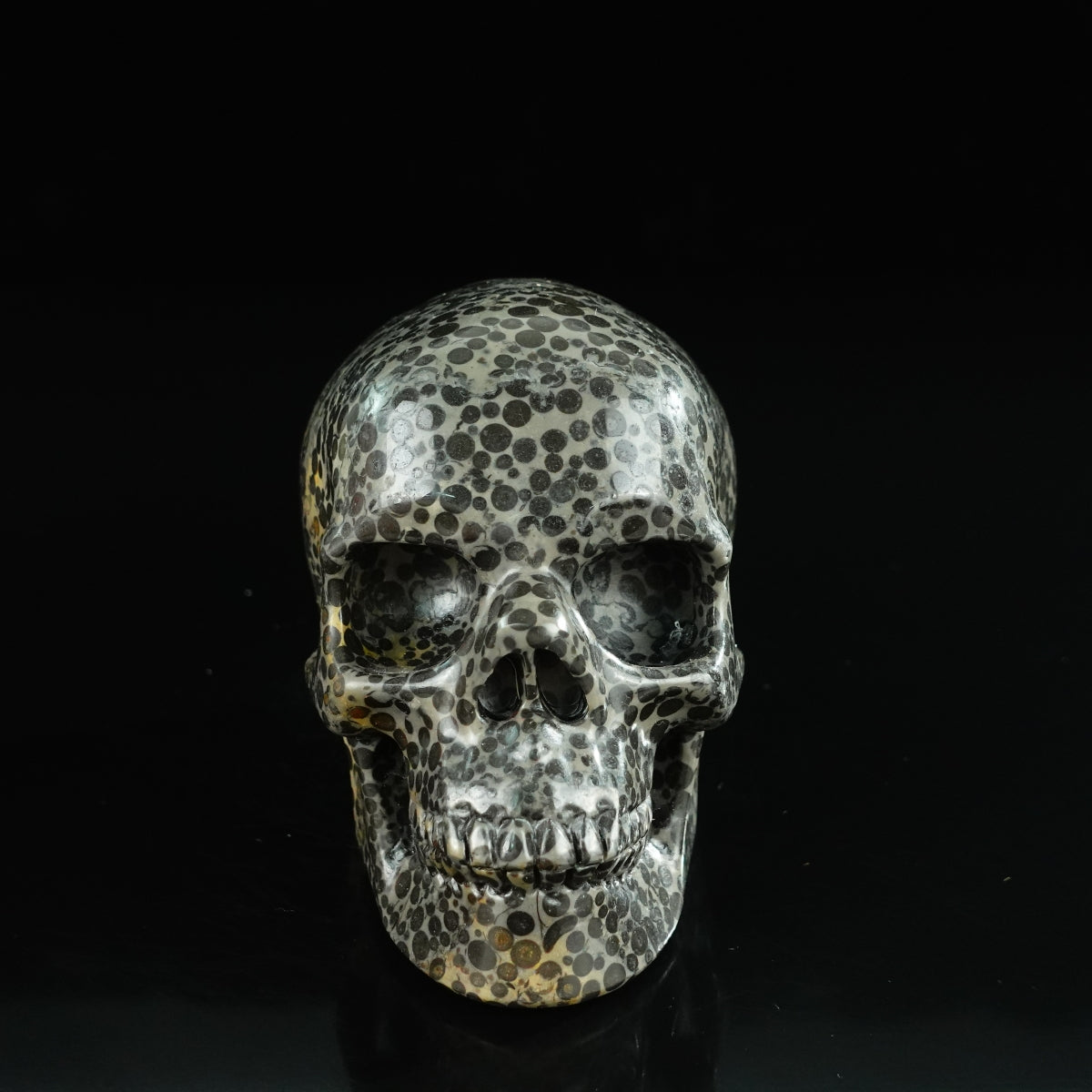 4.5" Leopard skin jasper Crystal Skull Carving - Unique Piece #LK01