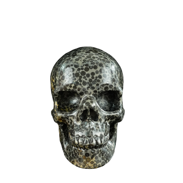 4.5" Leopard skin jasper Crystal Skull Carving - Unique Piece #LK01