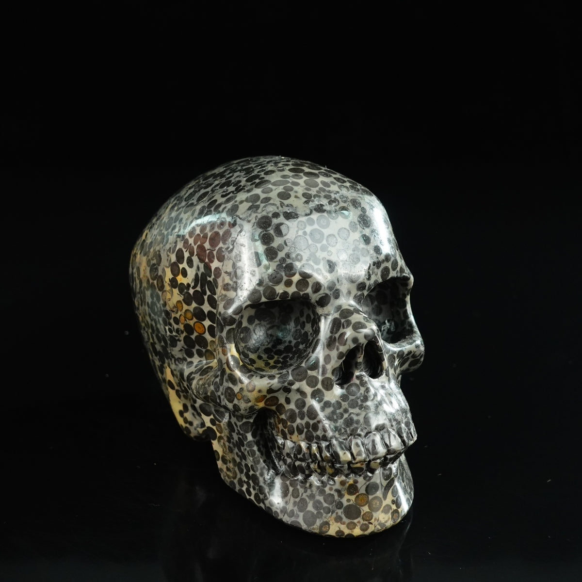 4.5" Leopard skin jasper Crystal Skull Carving - Unique Piece #LK01
