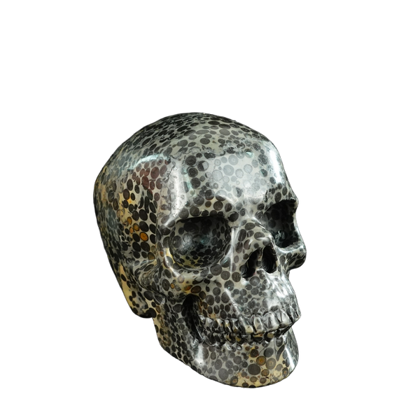 4.5" Leopard skin jasper Crystal Skull Carving - Unique Piece #LK01 - alternate view