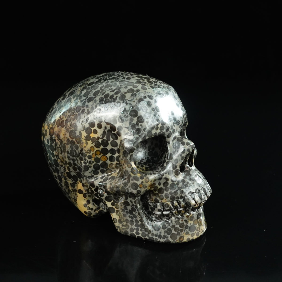 4.5" Leopard skin jasper Crystal Skull Carving - Unique Piece #LK01