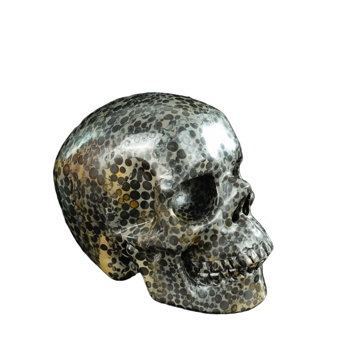4.5" Leopard skin jasper Crystal Skull Carving - Unique Piece #LK01