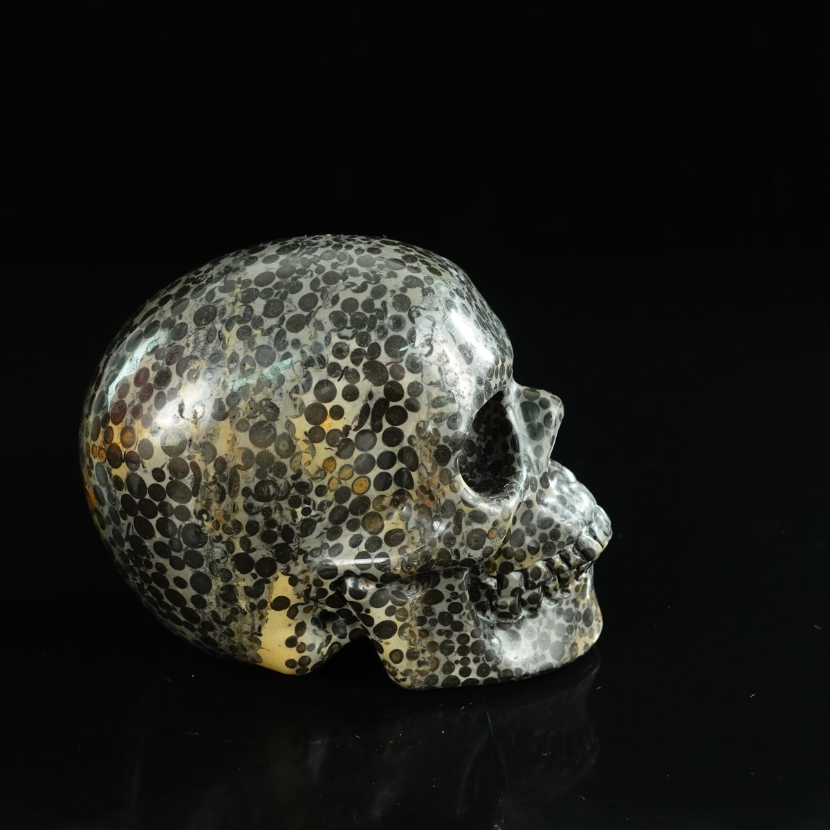 4.5" Leopard skin jasper Crystal Skull Carving - Unique Piece #LK01