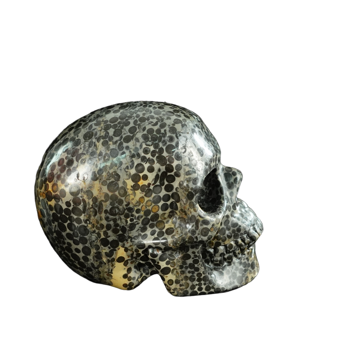 4.5" Leopard skin jasper Crystal Skull Carving - Unique Piece #LK01