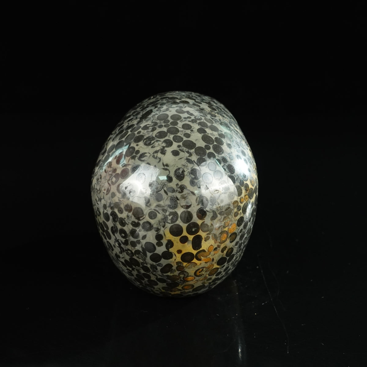 4.5" Leopard skin jasper Crystal Skull Carving - Unique Piece #LK01