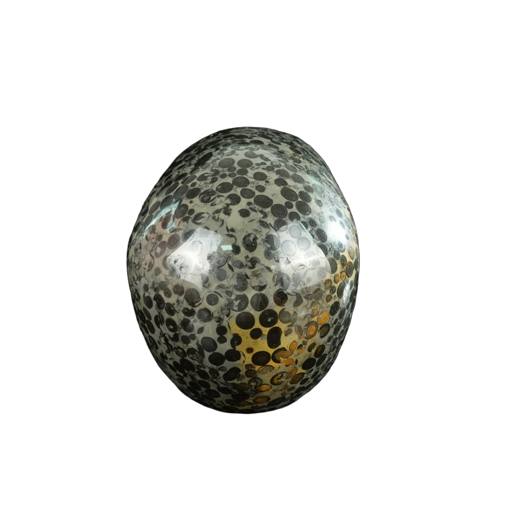 4.5" Leopard skin jasper Crystal Skull Carving - Unique Piece #LK01