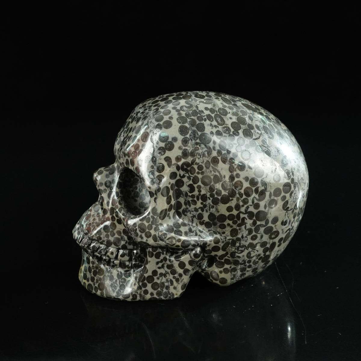 4.5" Leopard skin jasper Crystal Skull Carving - Unique Piece #LK01