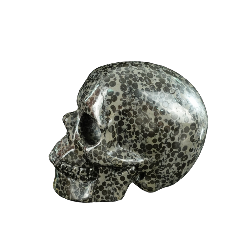 4.5" Leopard skin jasper Crystal Skull Carving - Unique Piece #LK01