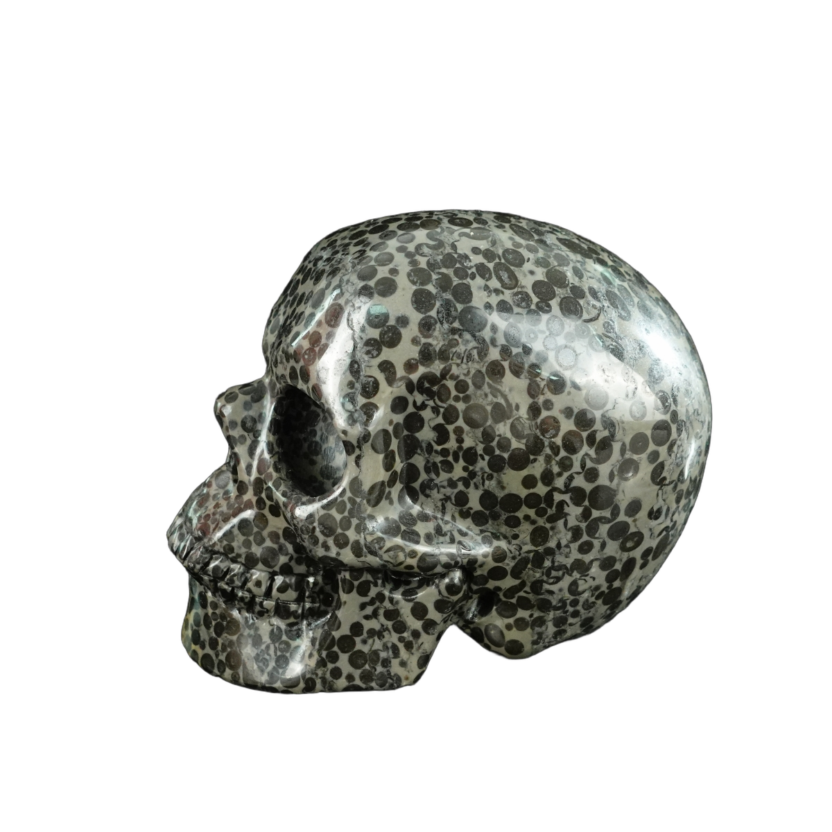 4.5" Leopard skin jasper Crystal Skull Carving - Unique Piece #LK01