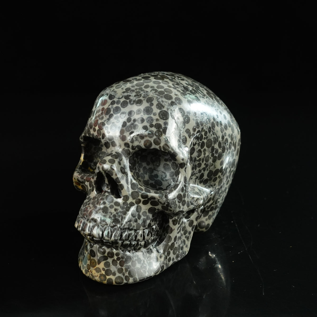 4.5" Leopard skin jasper Crystal Skull Carving - Unique Piece #LK01