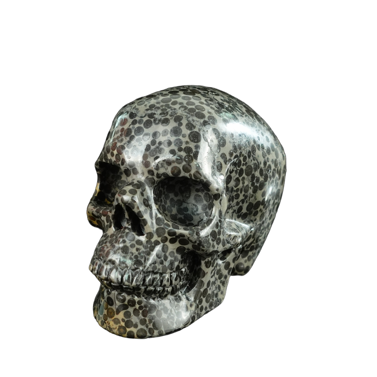 4.5" Leopard skin jasper Crystal Skull Carving - Unique Piece #LK01