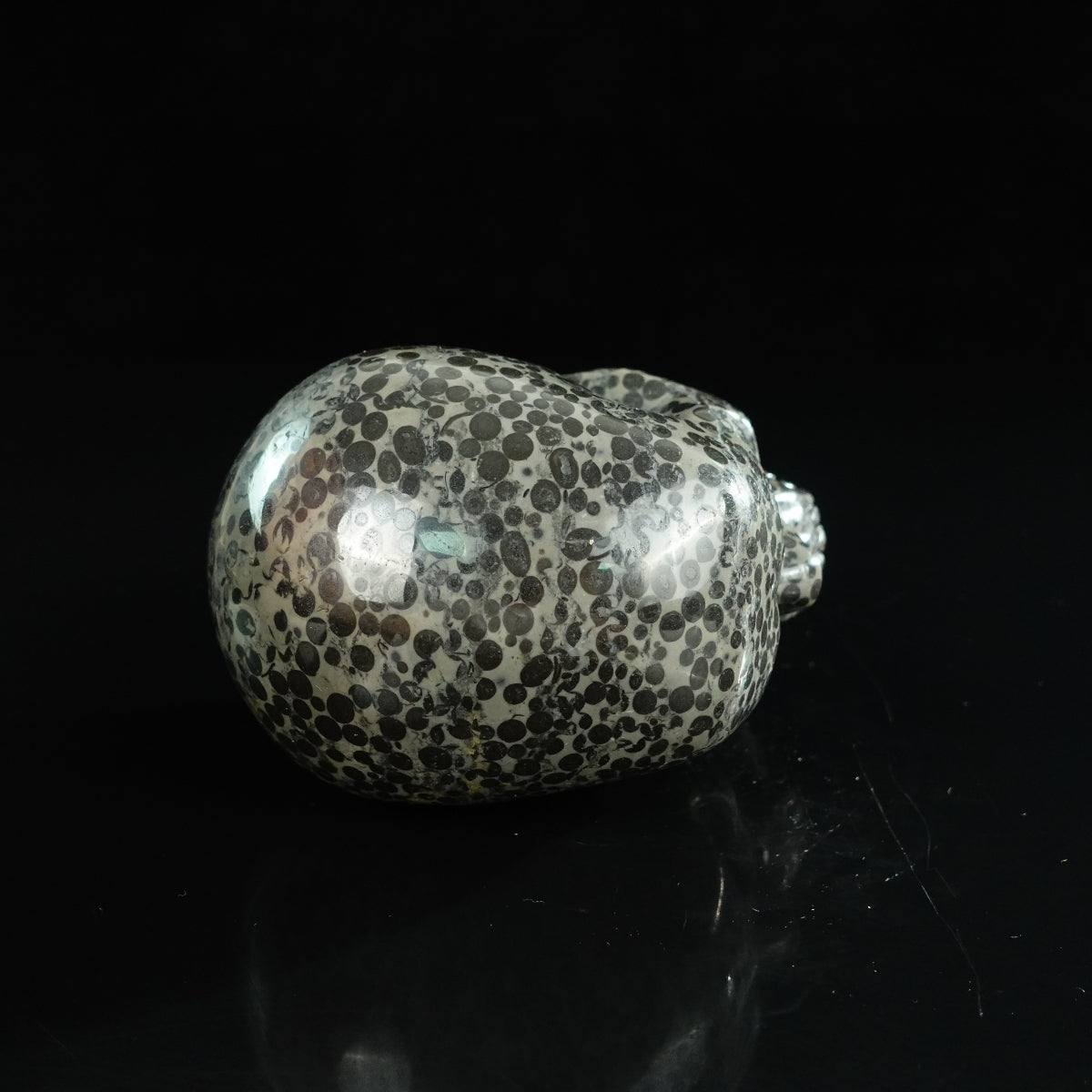 4.5" Leopard skin jasper Crystal Skull Carving - Unique Piece #LK01