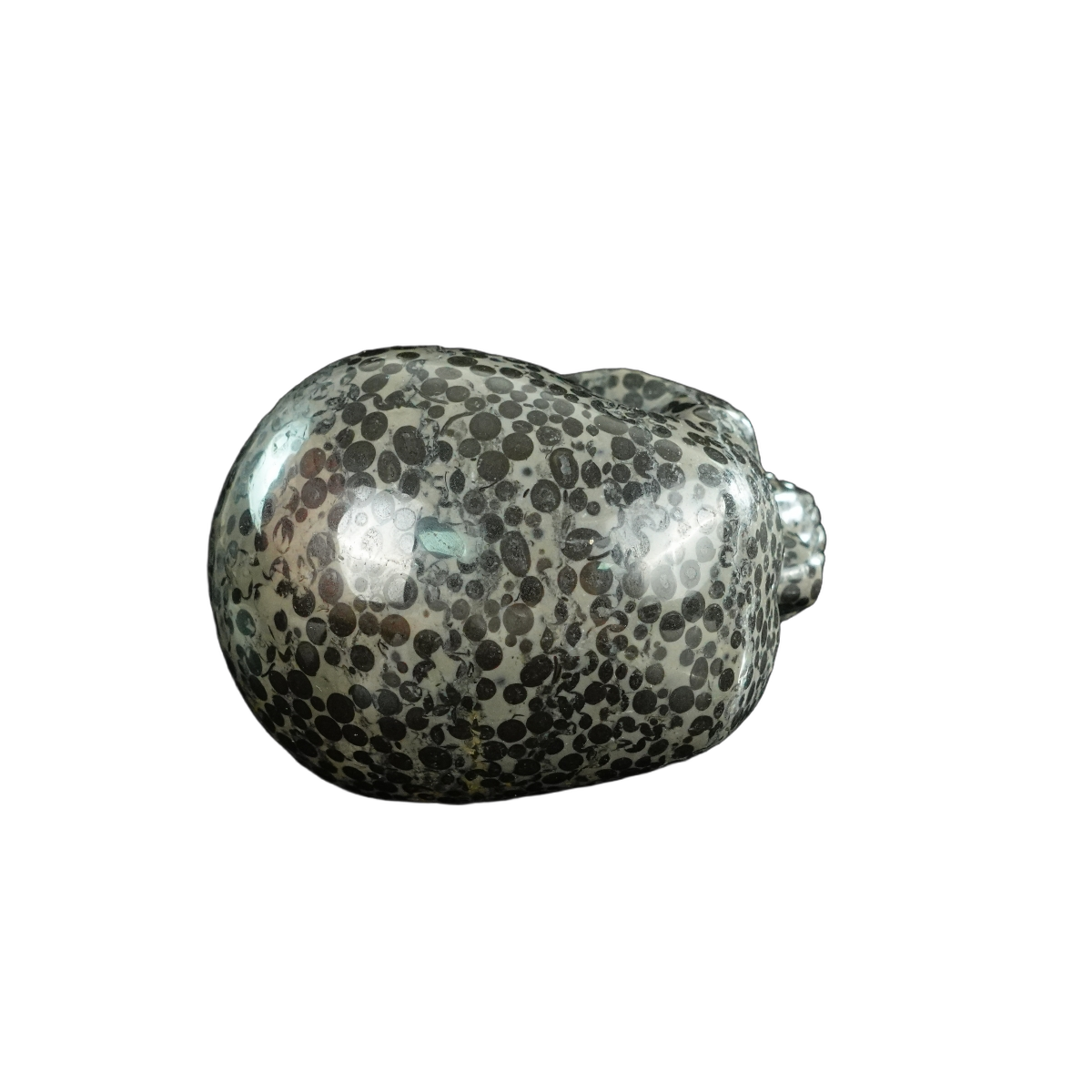 4.5" Leopard skin jasper Crystal Skull Carving - Unique Piece #LK01