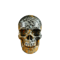4.5" Leopard skin jasper Crystal Skull Carving - Unique Piece #LK02