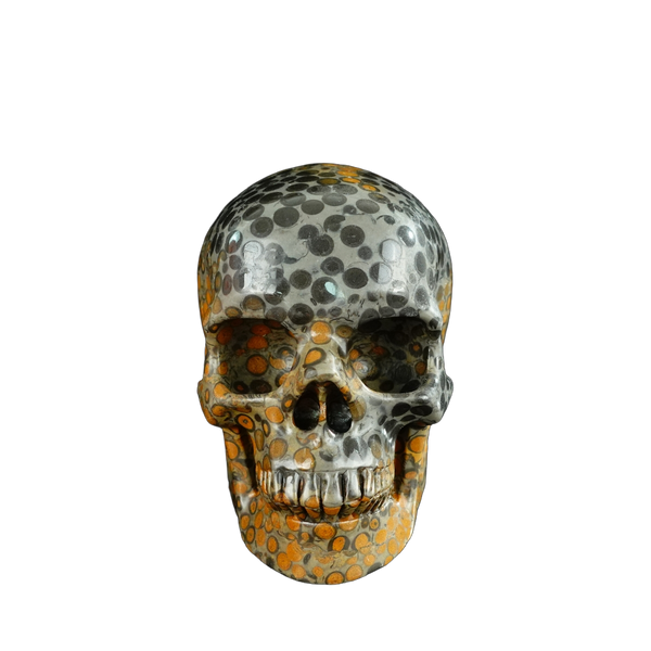 4.5" Leopard skin jasper Crystal Skull Carving - Unique Piece #LK02