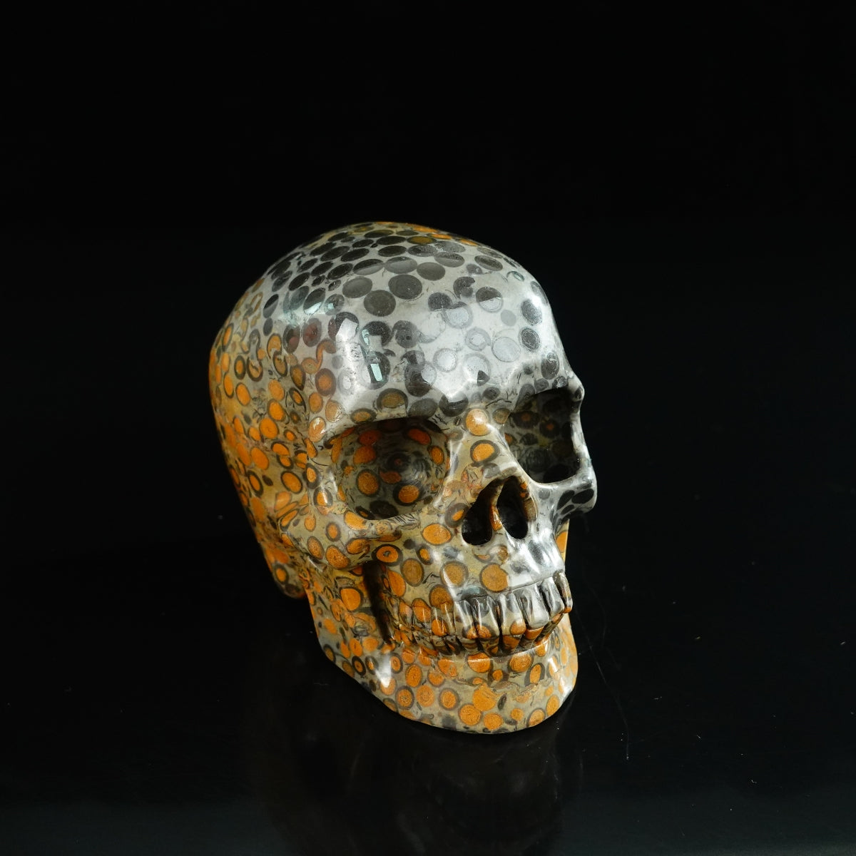 4.5" Leopard skin jasper Crystal Skull Carving - Unique Piece #LK02