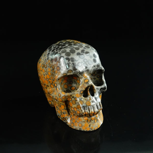 4.5" Leopard skin jasper Crystal Skull Carving - Unique Piece #LK02 - alternate view