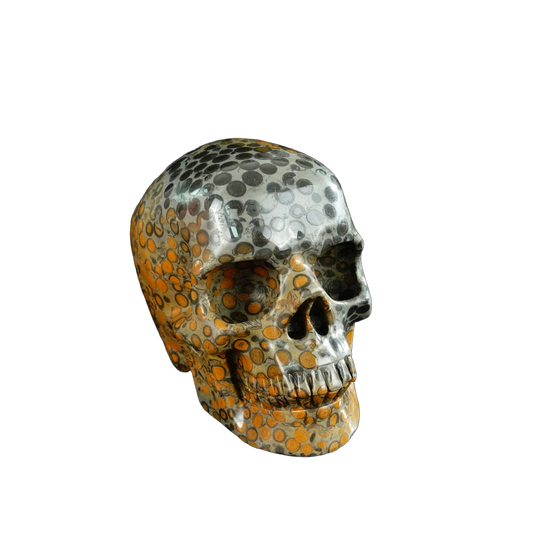 4.5" Leopard skin jasper Crystal Skull Carving - Unique Piece #LK02