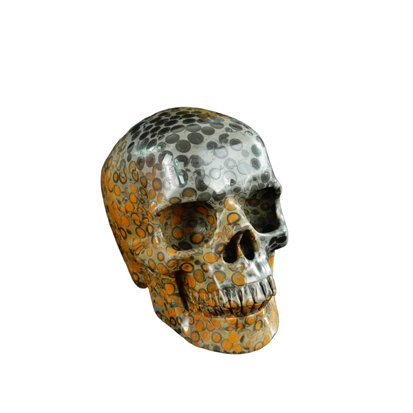 4.5" Leopard skin jasper Crystal Skull Carving - Unique Piece #LK02 - alternate view