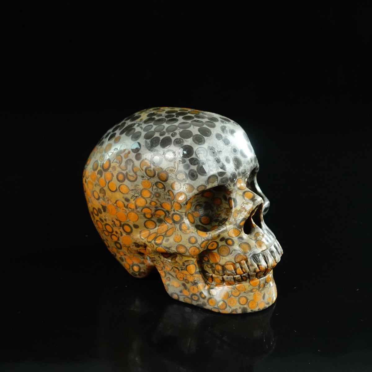 4.5" Leopard skin jasper Crystal Skull Carving - Unique Piece #LK02