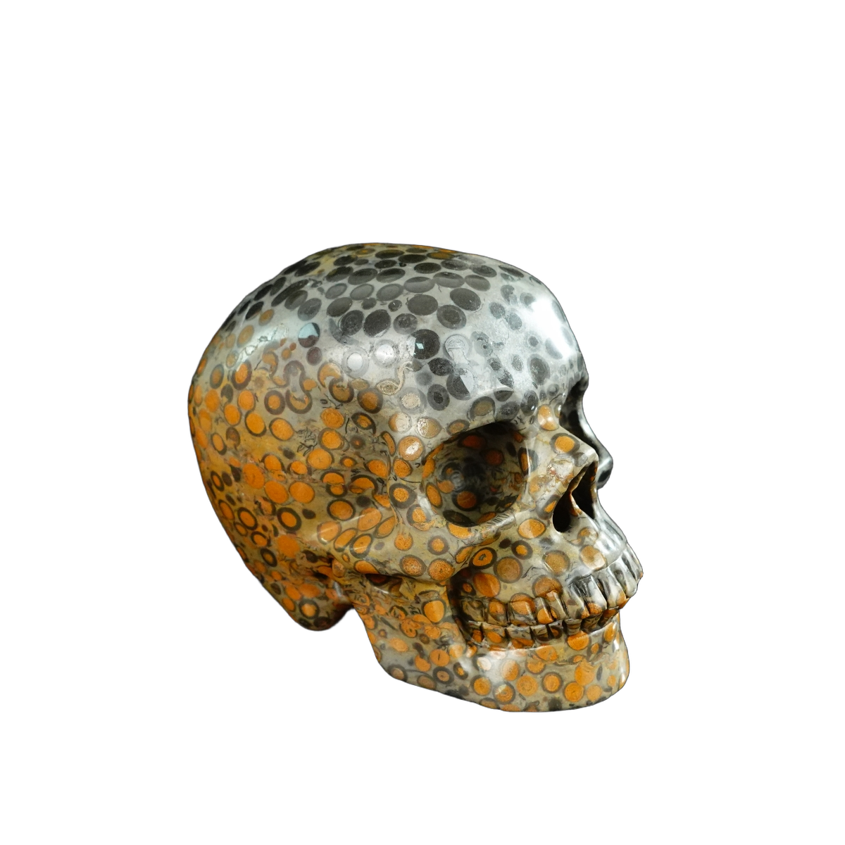 4.5" Leopard skin jasper Crystal Skull Carving - Unique Piece #LK02