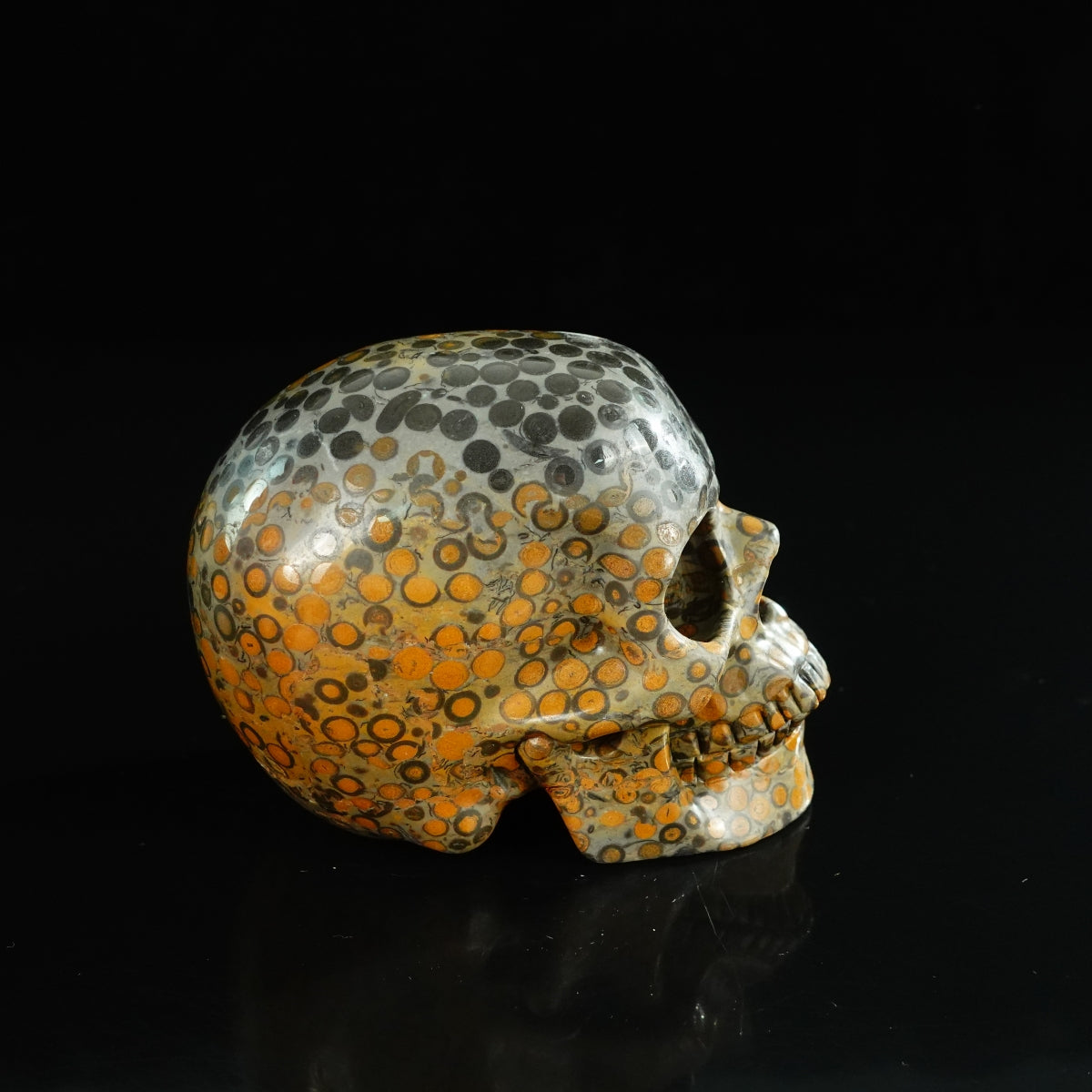 4.5" Leopard skin jasper Crystal Skull Carving - Unique Piece #LK02