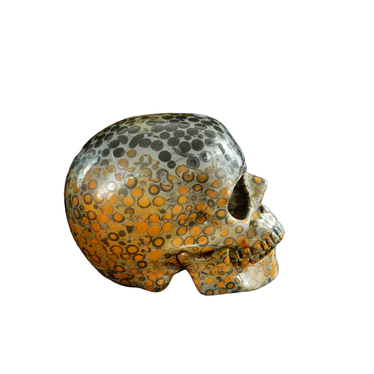 4.5" Leopard skin jasper Crystal Skull Carving - Unique Piece #LK02