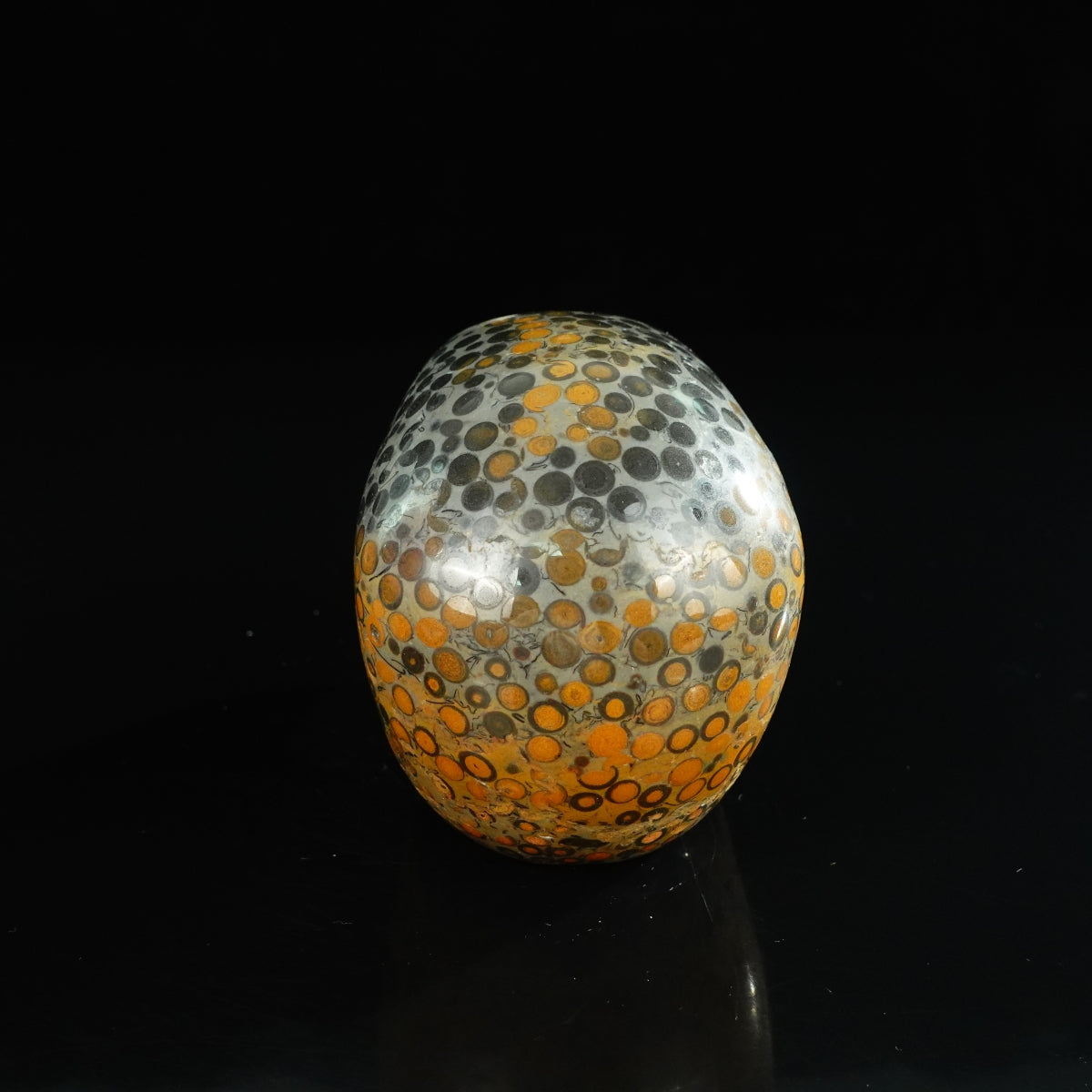 4.5" Leopard skin jasper Crystal Skull Carving - Unique Piece #LK02