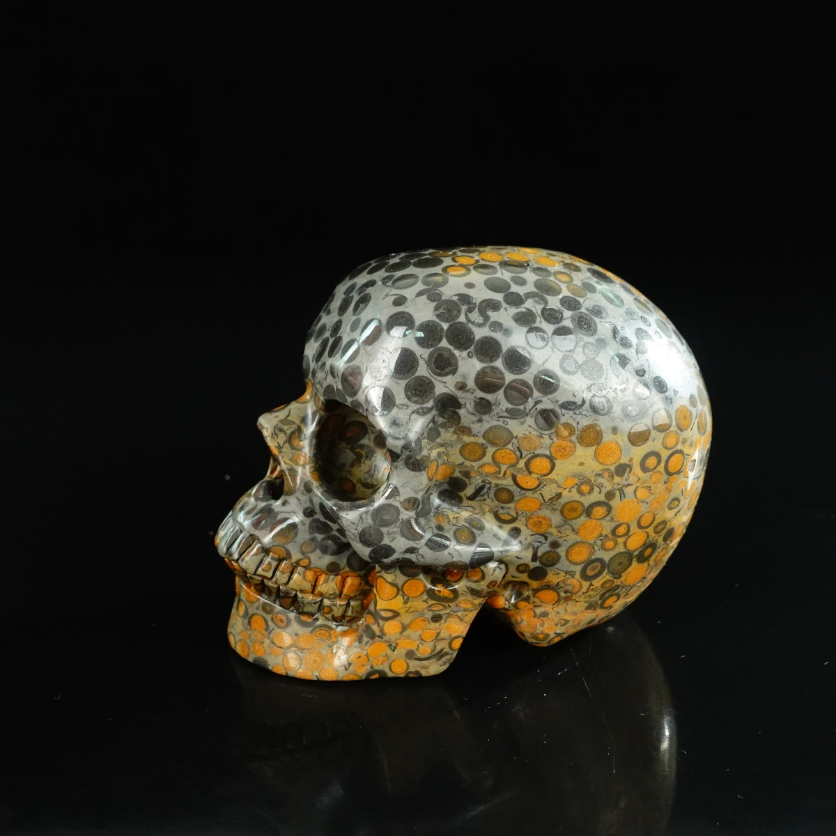 4.5" Leopard skin jasper Crystal Skull Carving - Unique Piece #LK02