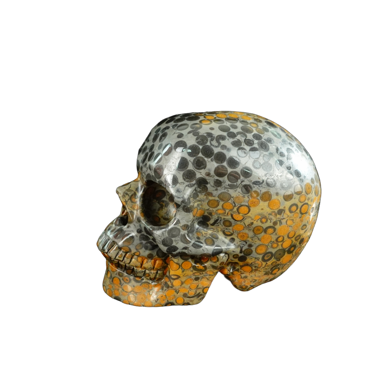 4.5" Leopard skin jasper Crystal Skull Carving - Unique Piece #LK02