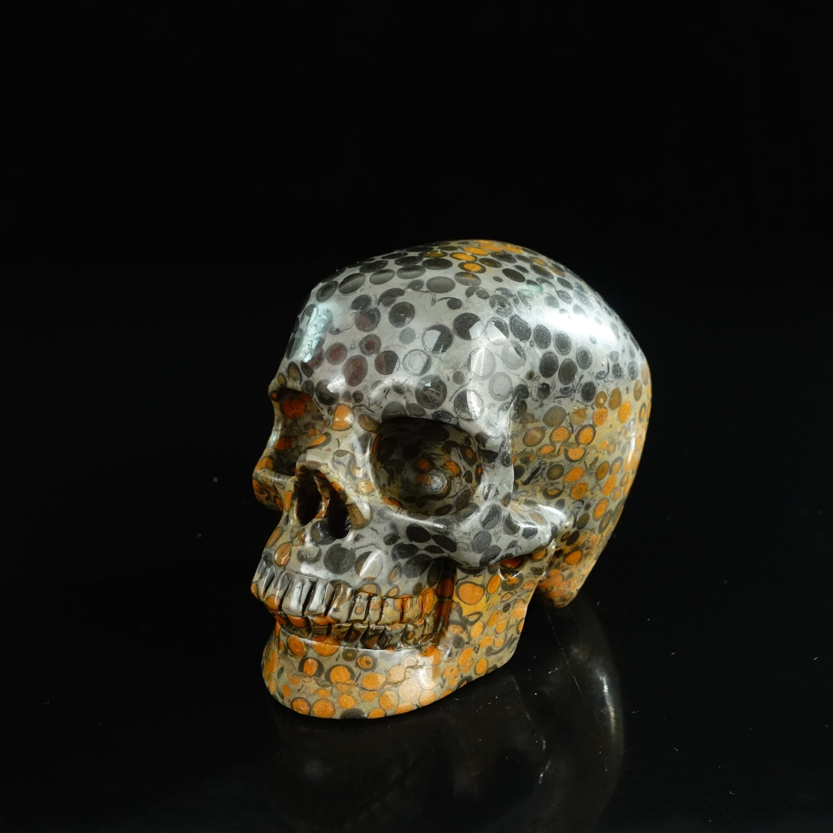 4.5" Leopard skin jasper Crystal Skull Carving - Unique Piece #LK02