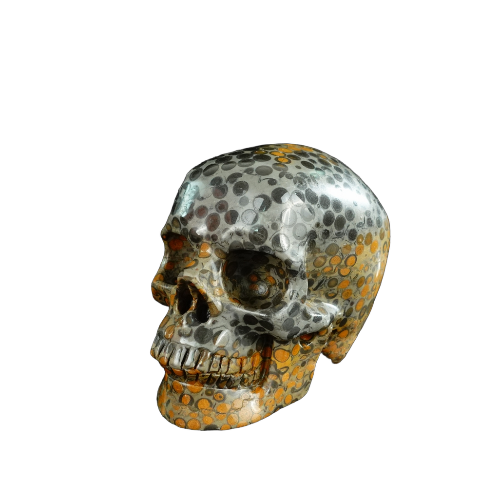 4.5" Leopard skin jasper Crystal Skull Carving - Unique Piece #LK02