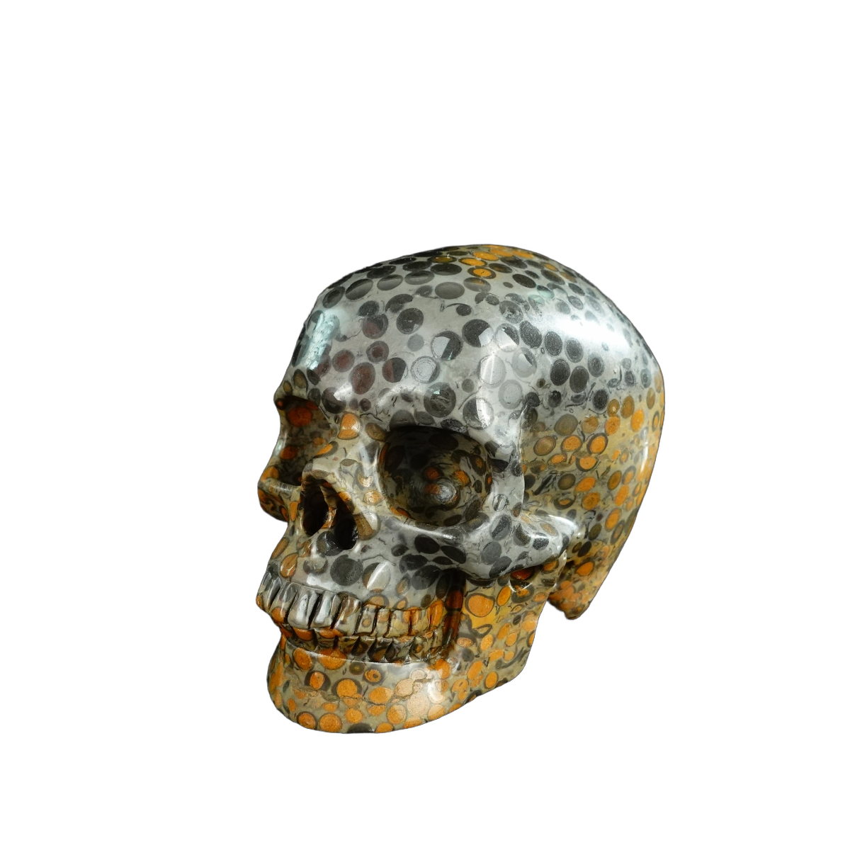 4.5" Leopard skin jasper Crystal Skull Carving - Unique Piece #LK02