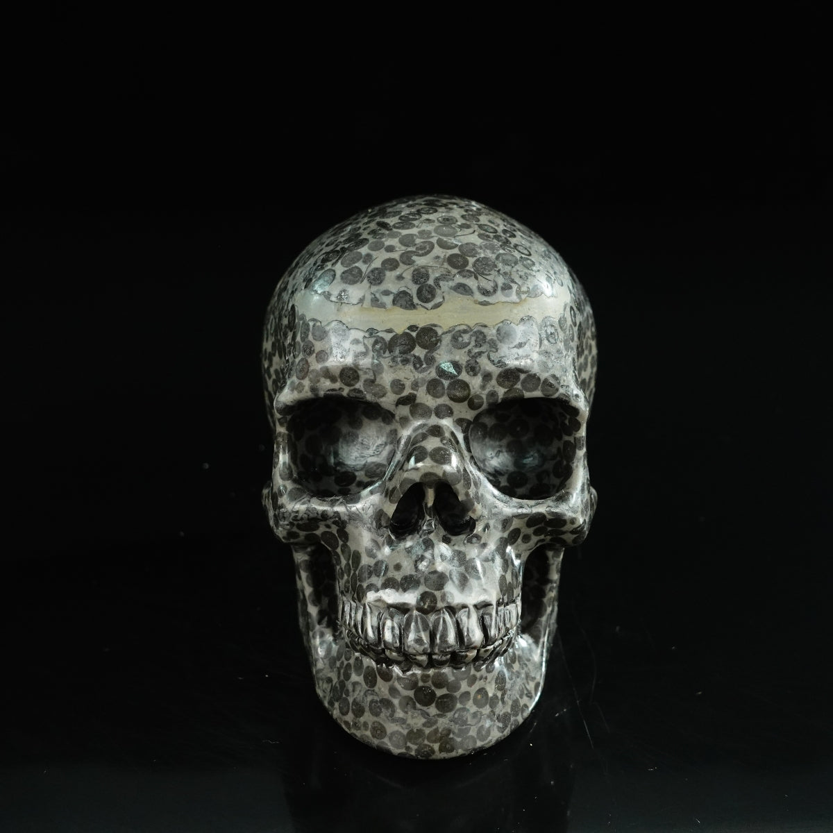 4.5" Leopard skin jasper Crystal Skull Carving - Unique Piece #LK03