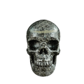 4.5" Leopard skin jasper Crystal Skull Carving - Unique Piece #LK03