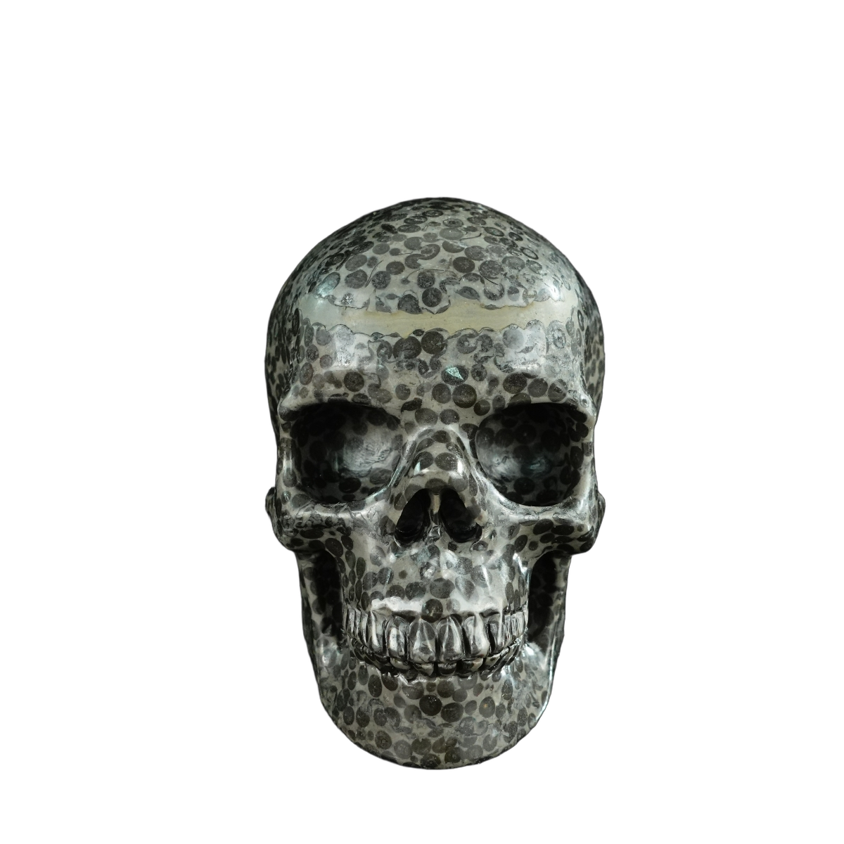 4.5" Leopard skin jasper Crystal Skull Carving - Unique Piece #LK03