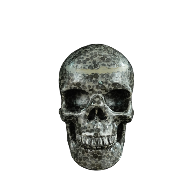 4.5" Leopard skin jasper Crystal Skull Carving - Unique Piece #LK03