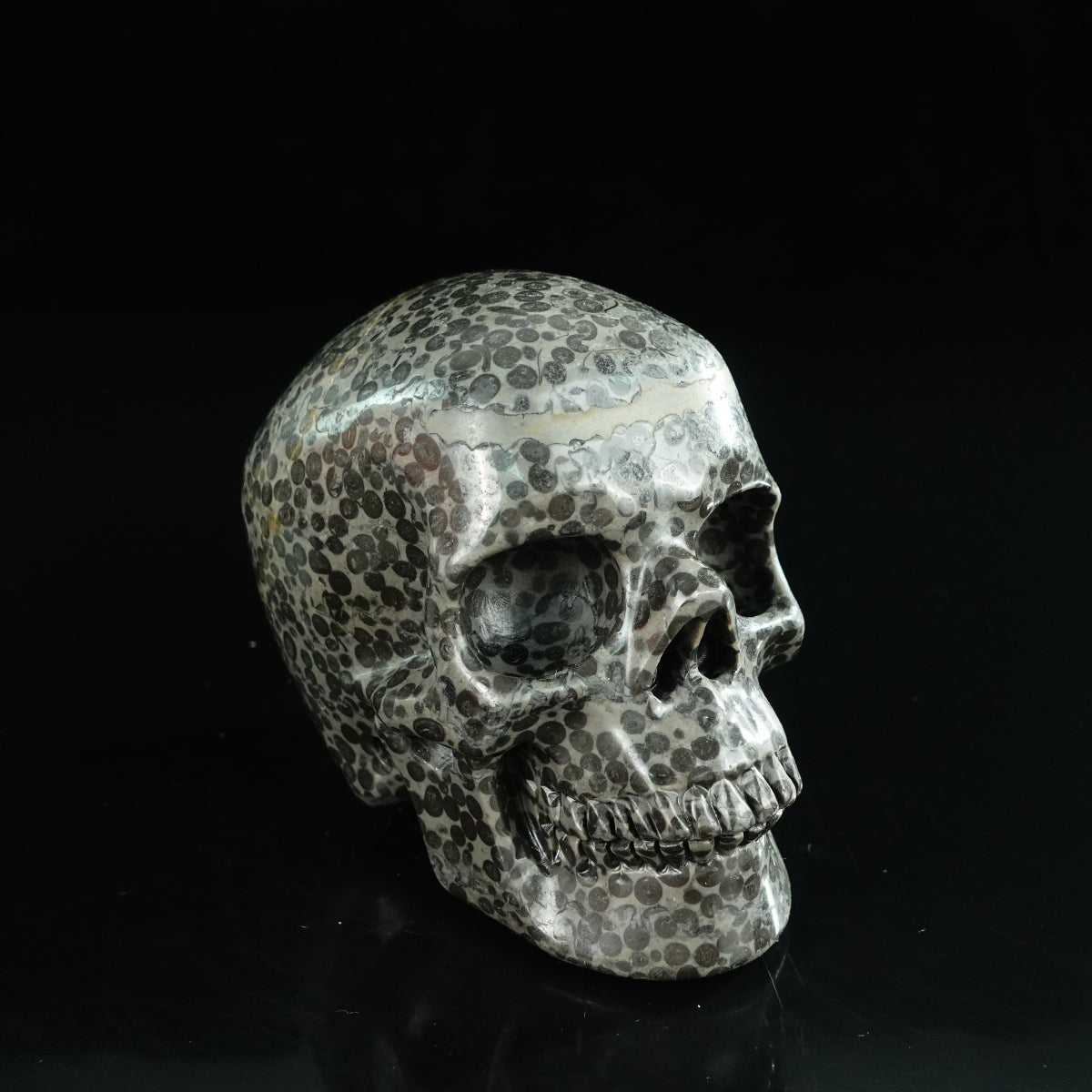 4.5" Leopard skin jasper Crystal Skull Carving - Unique Piece #LK03