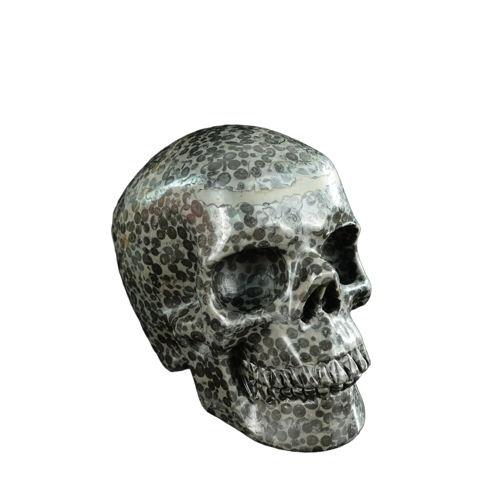 4.5" Leopard skin jasper Crystal Skull Carving - Unique Piece #LK03
