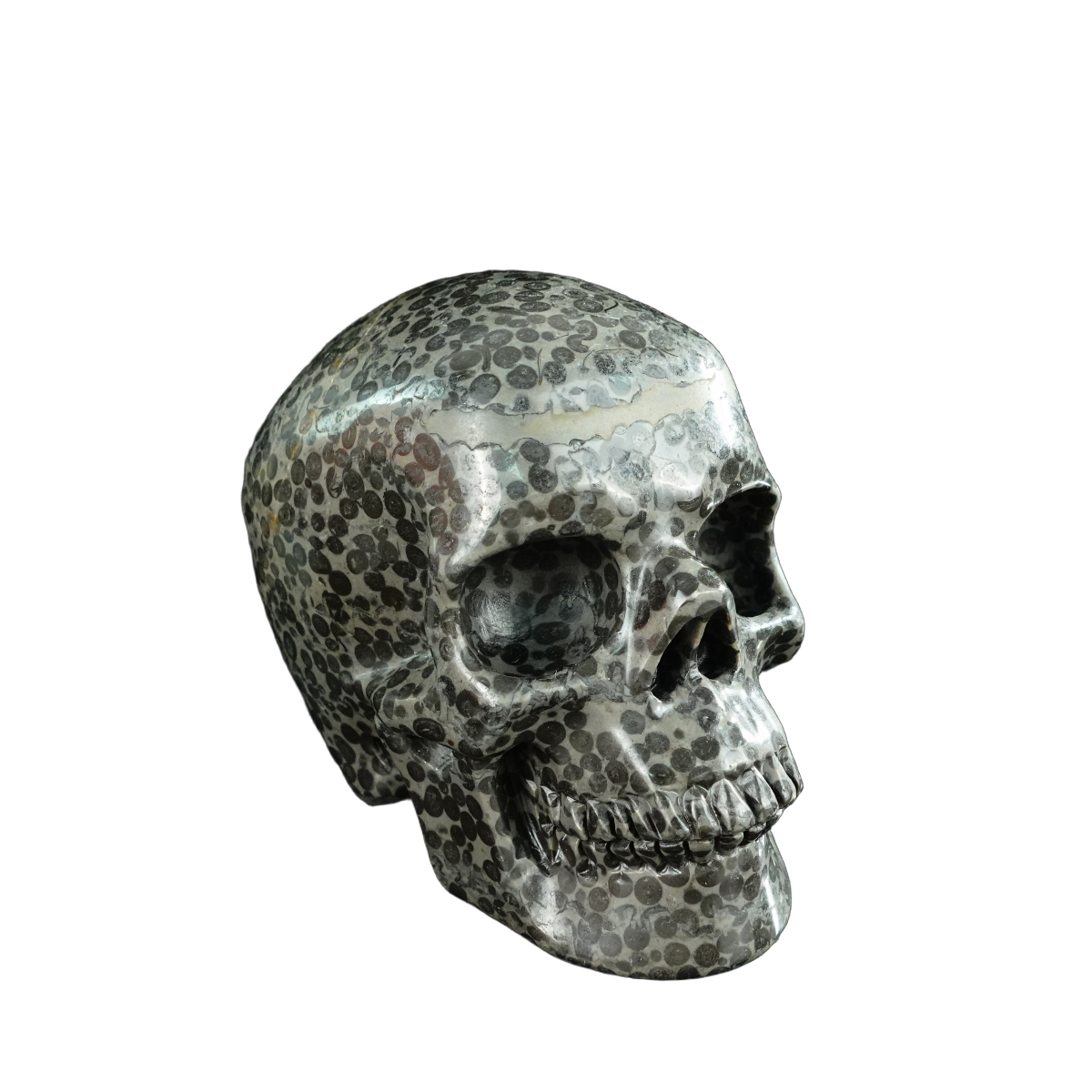 4.5" Leopard skin jasper Crystal Skull Carving - Unique Piece #LK03