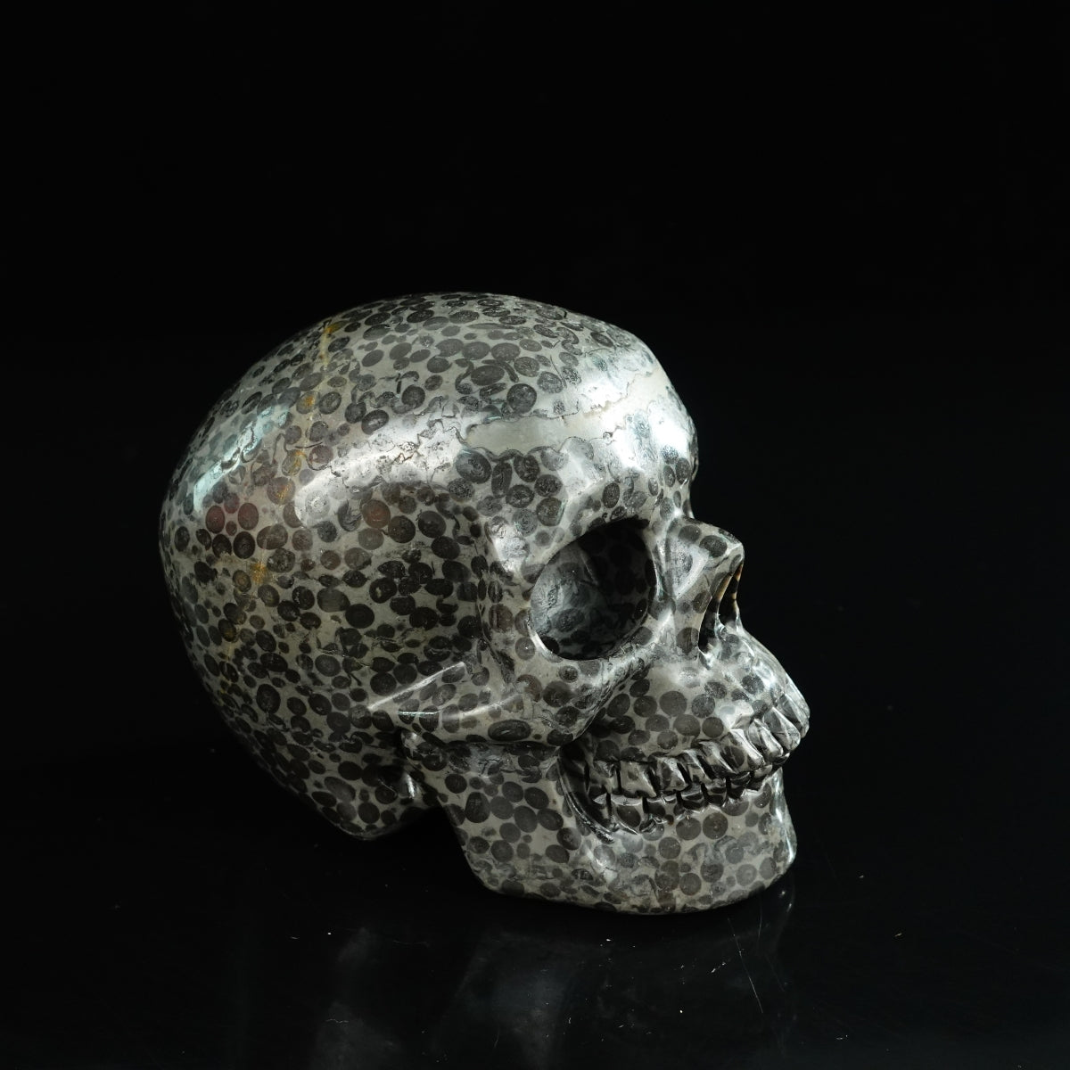 4.5" Leopard skin jasper Crystal Skull Carving - Unique Piece #LK03