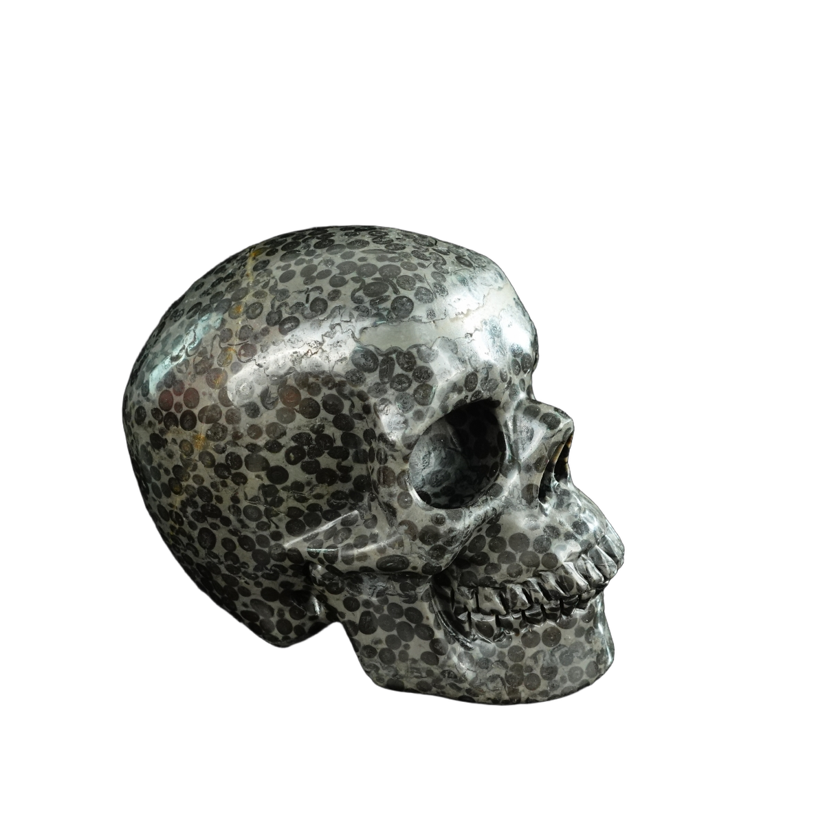 4.5" Leopard skin jasper Crystal Skull Carving - Unique Piece #LK03