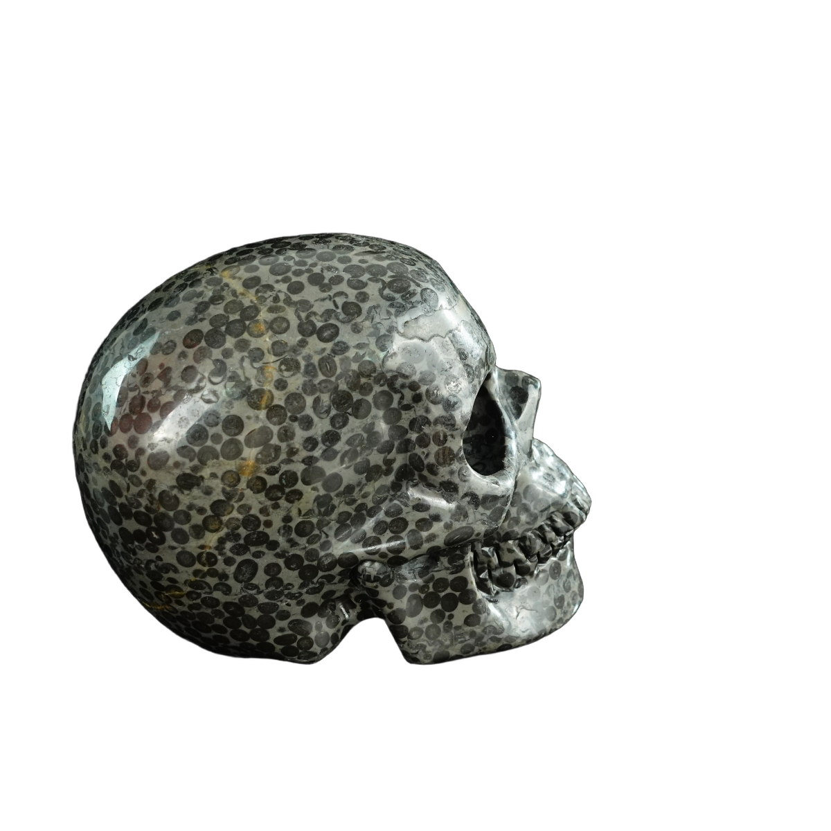 4.5" Leopard skin jasper Crystal Skull Carving - Unique Piece #LK03