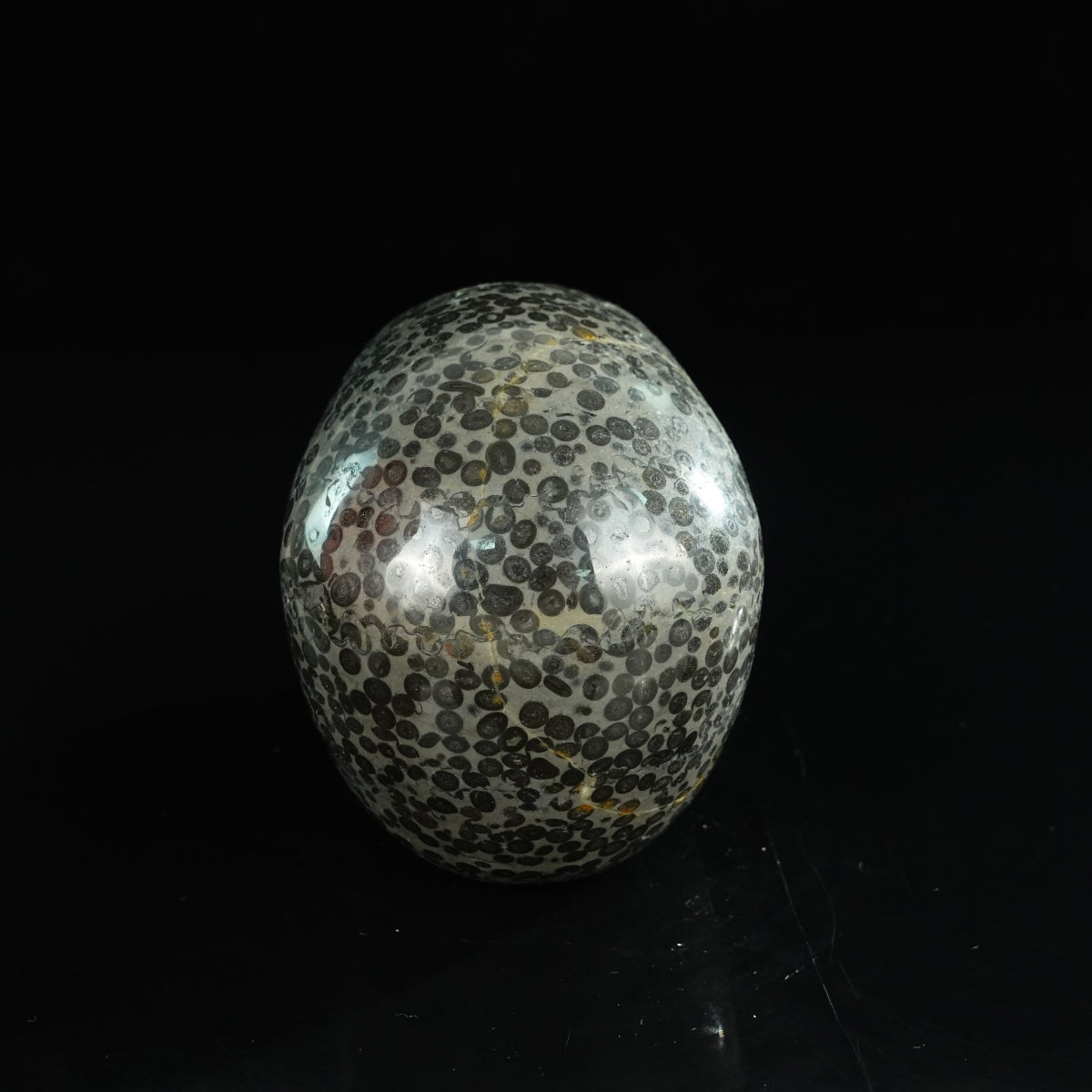 4.5" Leopard skin jasper Crystal Skull Carving - Unique Piece #LK03