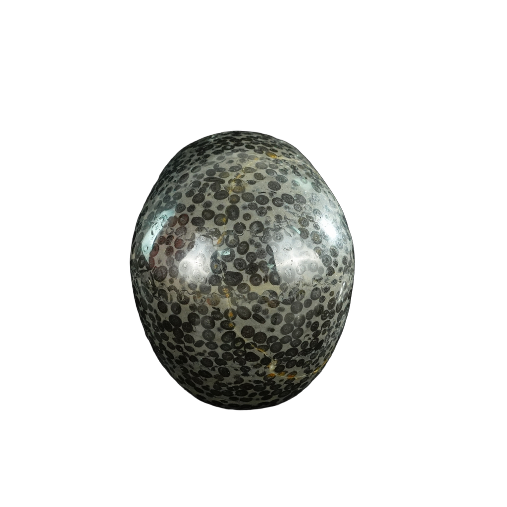 4.5" Leopard skin jasper Crystal Skull Carving - Unique Piece #LK03