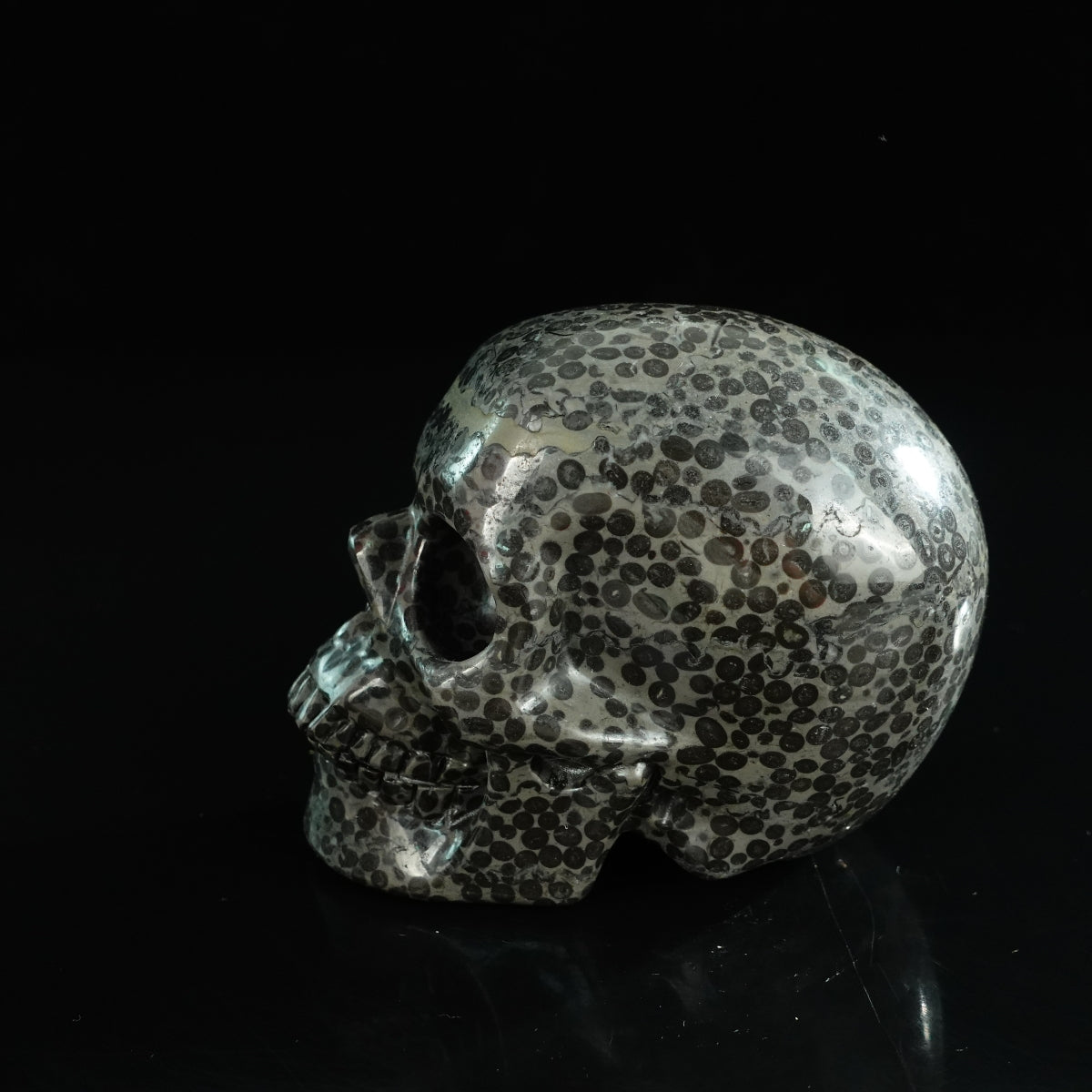 4.5" Leopard skin jasper Crystal Skull Carving - Unique Piece #LK03