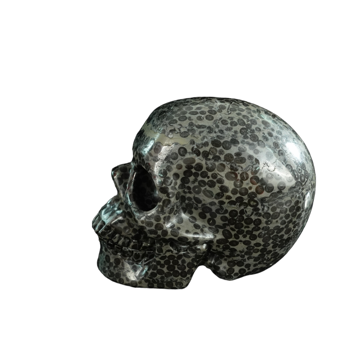 4.5" Leopard skin jasper Crystal Skull Carving - Unique Piece #LK03