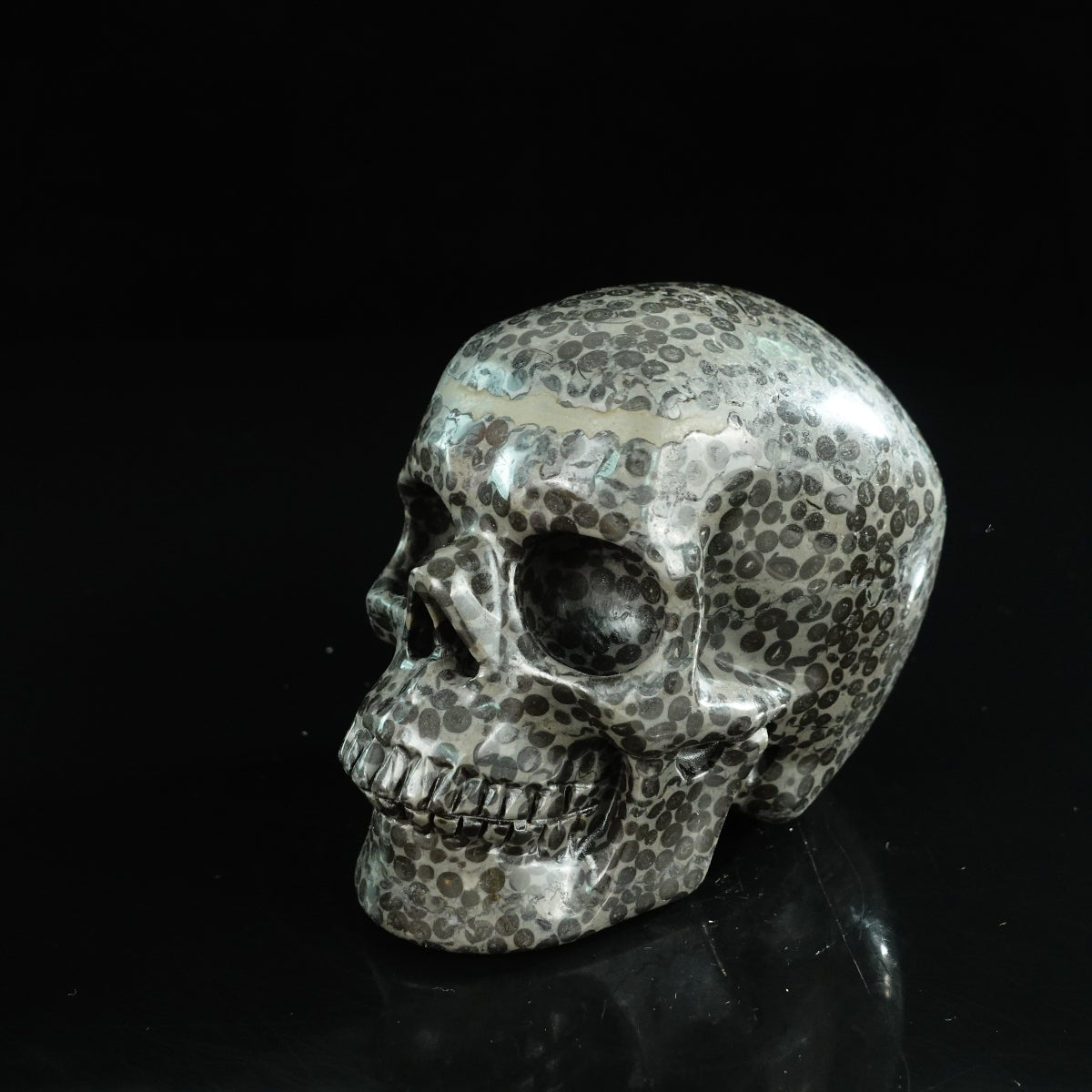 4.5" Leopard skin jasper Crystal Skull Carving - Unique Piece #LK03