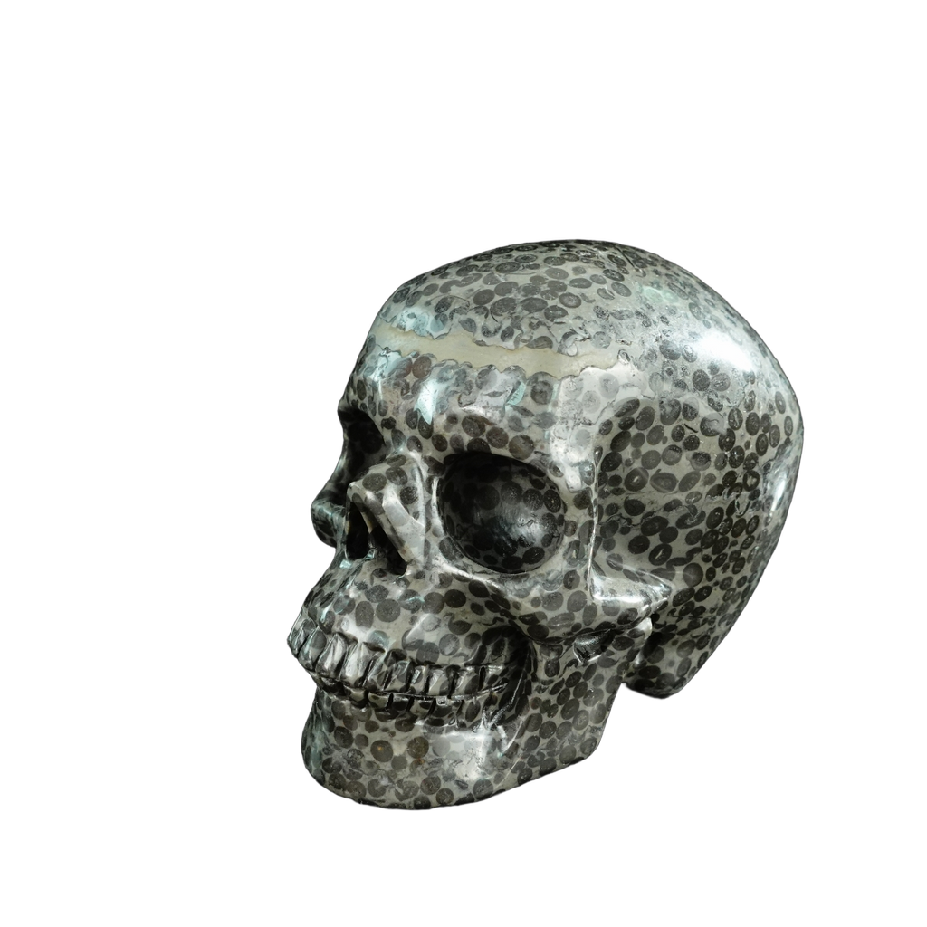 4.5" Leopard skin jasper Crystal Skull Carving - Unique Piece #LK03