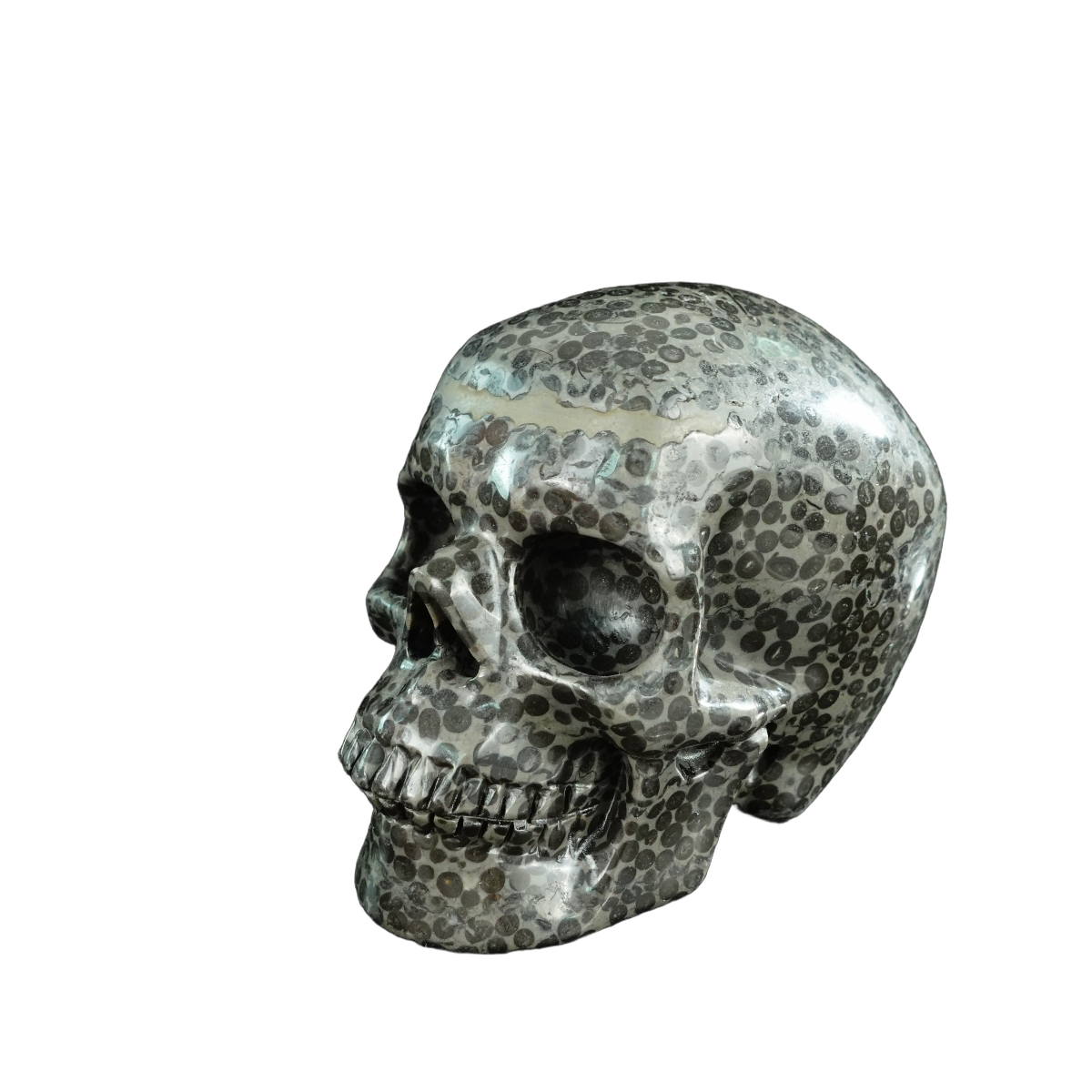 4.5" Leopard skin jasper Crystal Skull Carving - Unique Piece #LK03